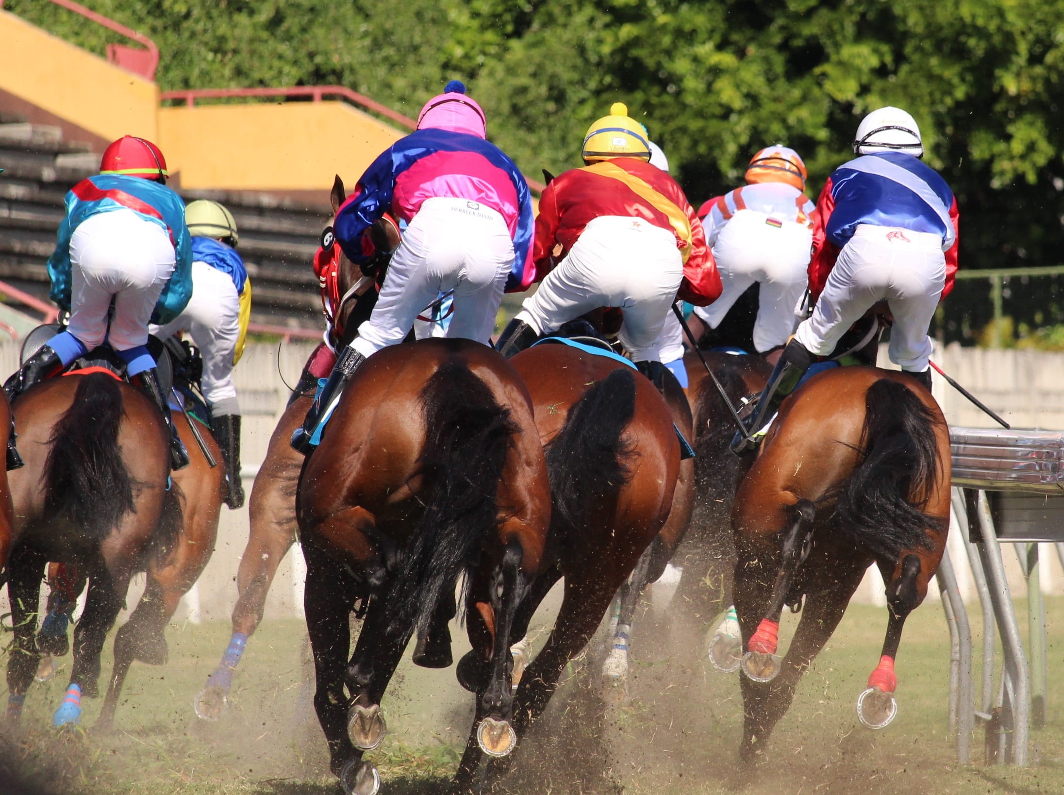 Regal Bars horses racing night